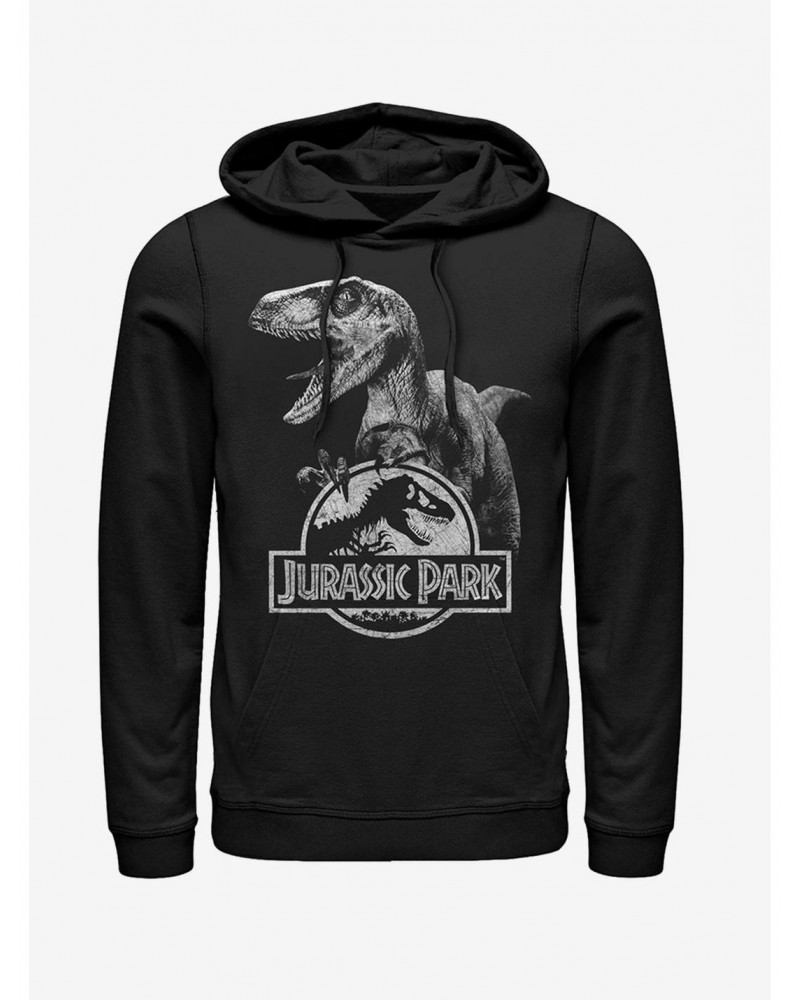 Raptor Logo Hoodie $17.96 Hoodies