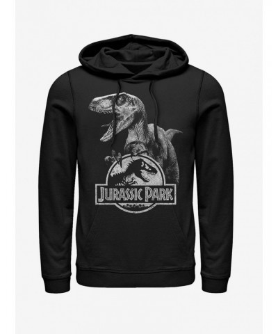 Raptor Logo Hoodie $17.96 Hoodies