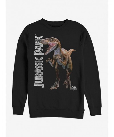 Velociraptor Logo Sweatshirt $9.74 Sweatshirts