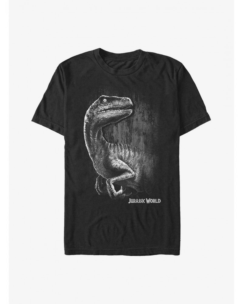 Jurassic World Raptor Smile T-Shirt $6.69 T-Shirts