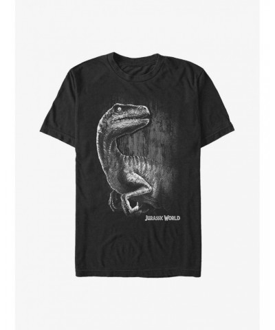 Jurassic World Raptor Smile T-Shirt $6.69 T-Shirts