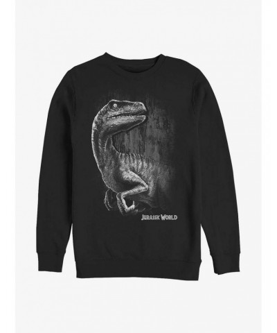 Jurassic World Raptor Smile Sweatshirt $12.69 Sweatshirts