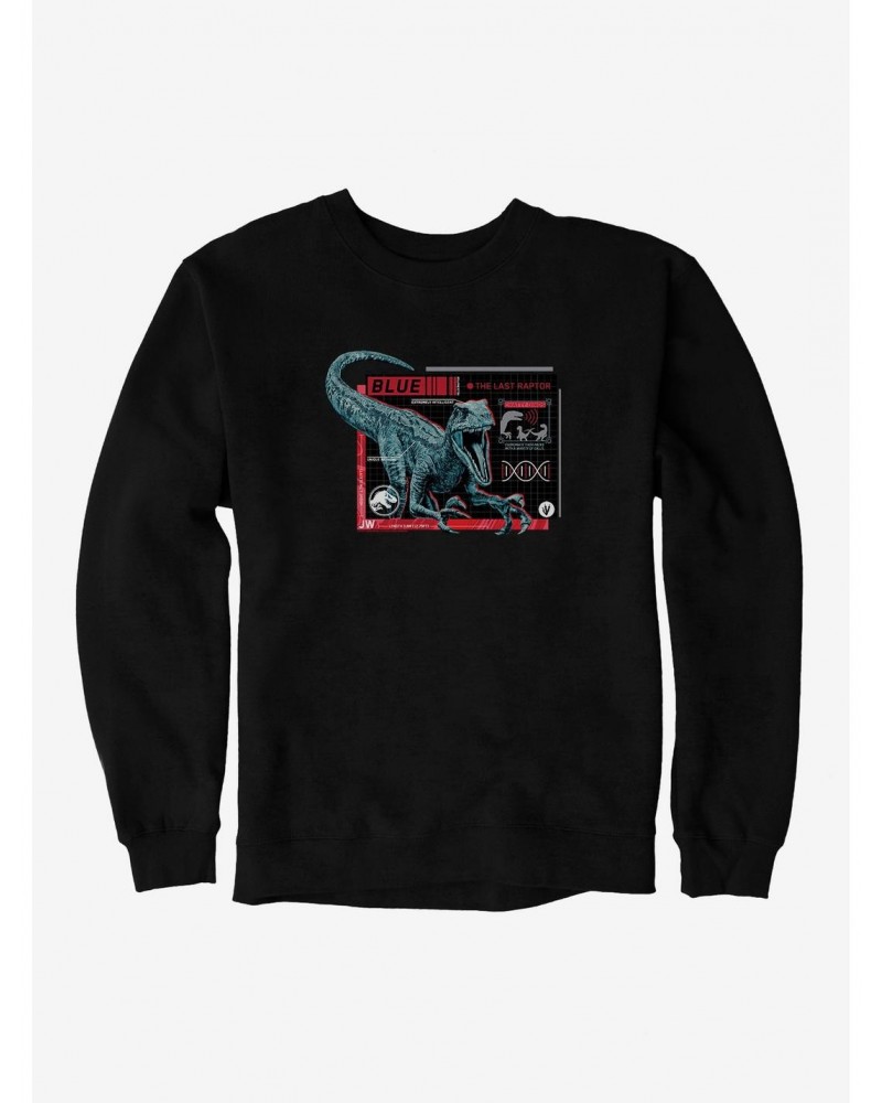 Jurassic World Blue Specs Sweatshirt $12.10 Sweatshirts