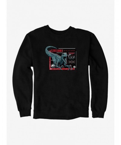 Jurassic World Blue Specs Sweatshirt $12.10 Sweatshirts